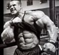 /album/fotogaleria/jaycutler-ab-wallpaper-jpg/